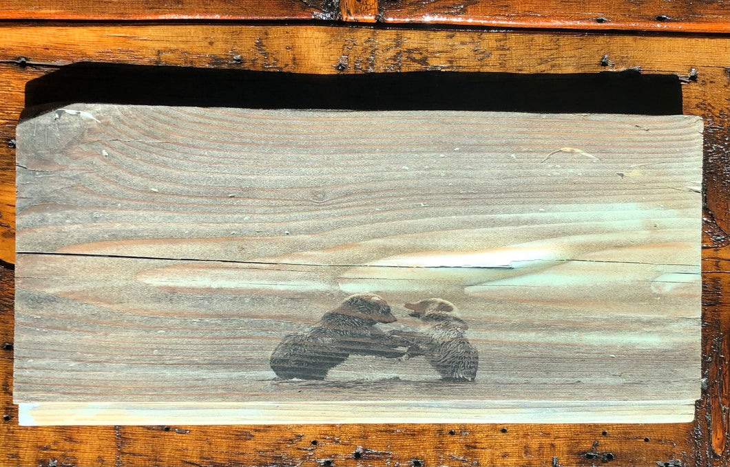 Bear Playing in the water artwork on authentic reclaimed wood here in the USA.