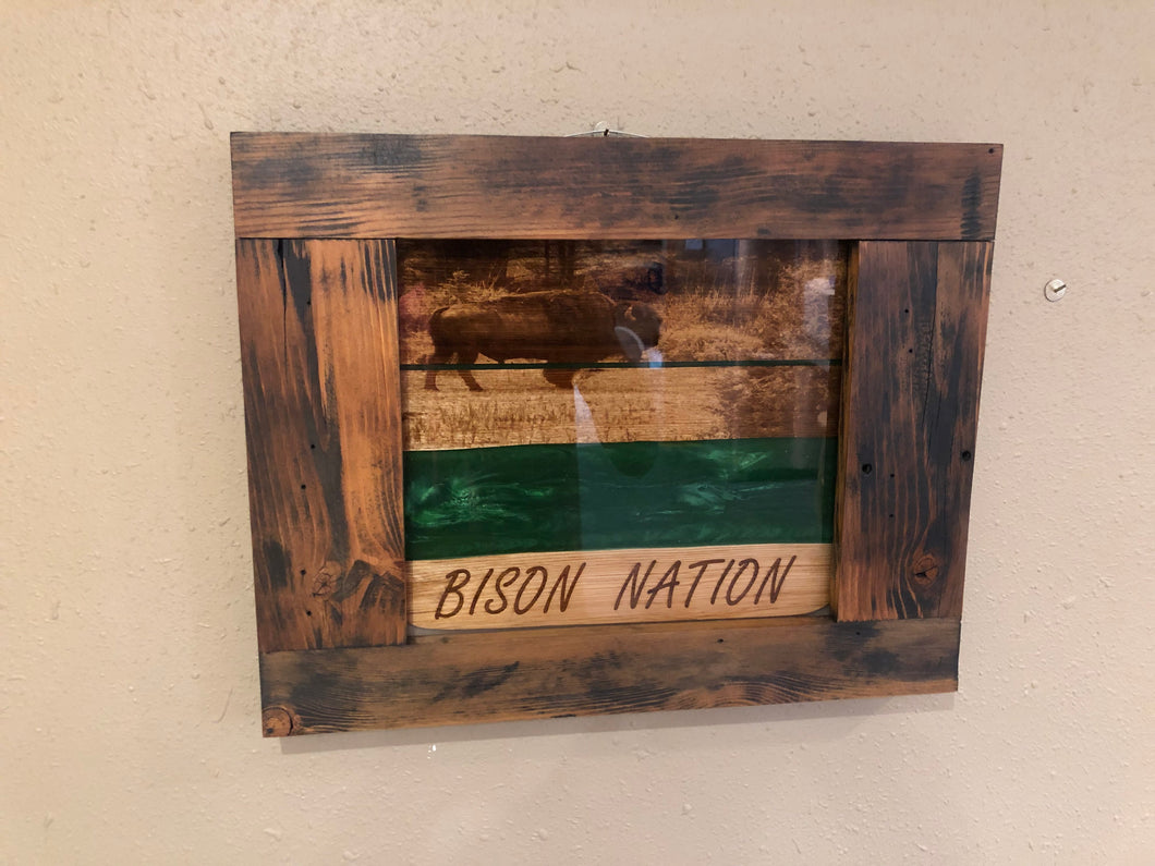 Bison Nation