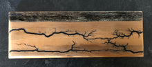Load image into Gallery viewer, Fractal /Lichtenberg Art
