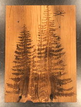Load image into Gallery viewer, Pine Forest collection
