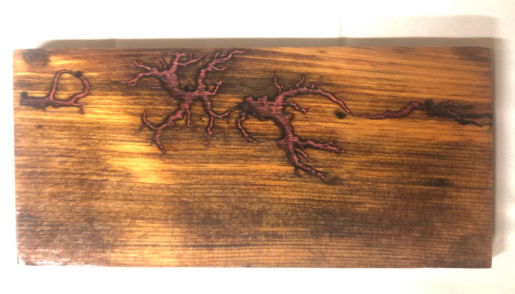 Fractal /Lichtenberg Art