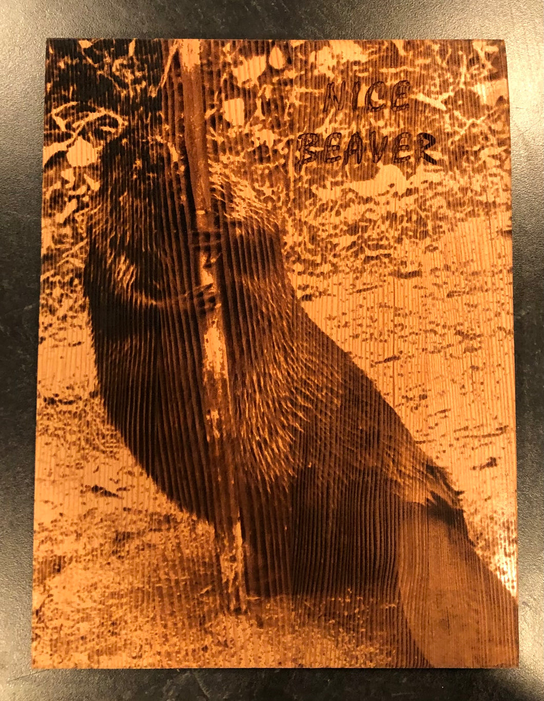 Nice Beaver